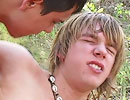 Cody's Forest Romp